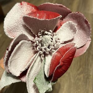 ❤️5/$25 +Bundle Sale | Bundle 5 items $7-$9 & Save! Otherwise priced as marked!